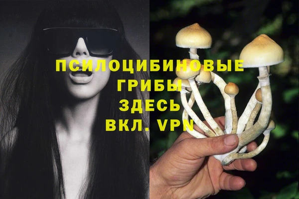 MDMA Premium VHQ Аркадак